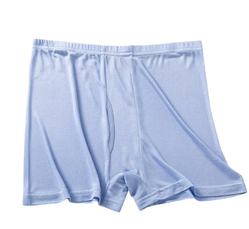 Mens Silk Underwear