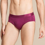 Classic Mens Briefs Sexy Silk Triangle Boxer - slipintosoft